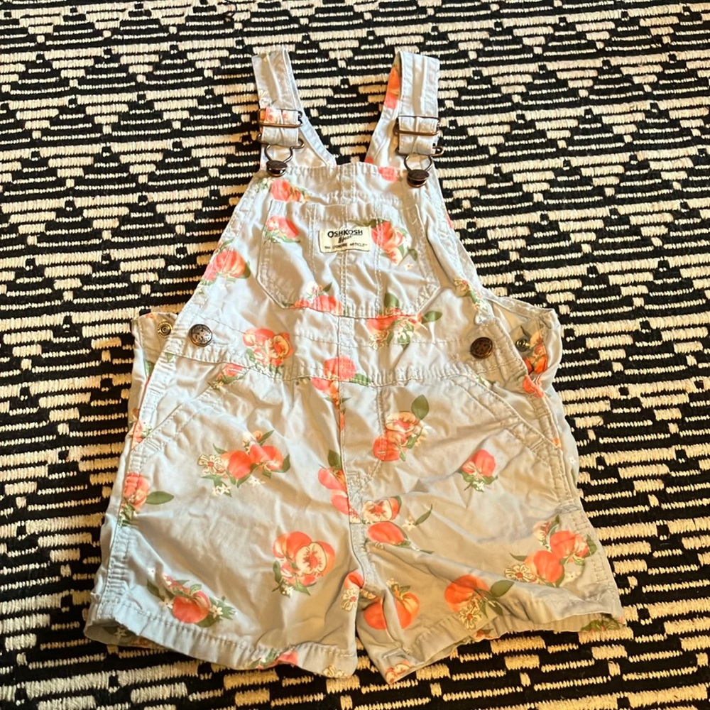 OshKosh B'gosh blue and Pink Overalls for Playful Days